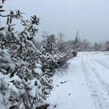 Se viene un domingo de nieve en México. Se viene un domingo de nieve en México.