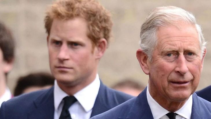 Harry and Meghan left their real duties behind 2020.