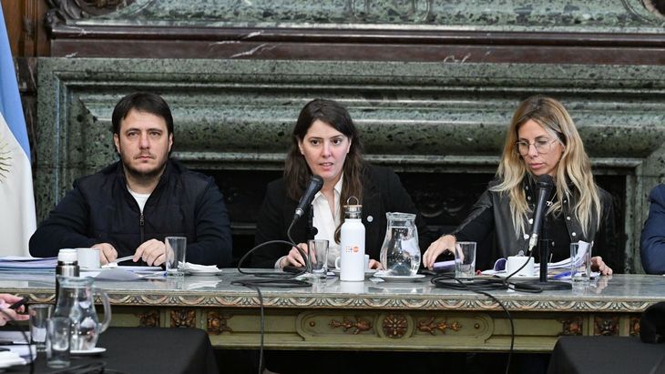 Al centro de la imagen, Inés Parry, presidenta de la Comisión de Justicia. A su lado, Hernán Reyes (Asuntos Constitucionales) y Gimena Villafruela (Seguridad). Al centro de la imagen, Inés Parry, presidenta de la Comisión de Justicia. A su lado, Hernán Reyes (Asuntos Constitucionales) y Gimena Villafruela (Seguridad).