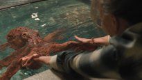La película que está causando furor en Netflix.