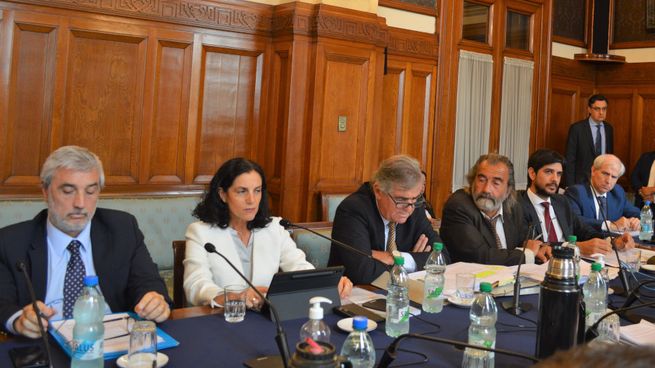 La ministra Arbeleche expuso frente a la Comisión de Hacienda en el Parlamento los motivos del avance en la compra de escáneres para fortalecer las fronteras uruguayas.