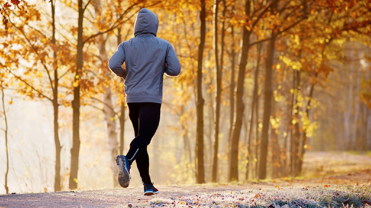 Tomorrow or night? This is the best time to exercise in autumn and lose weight, according to science