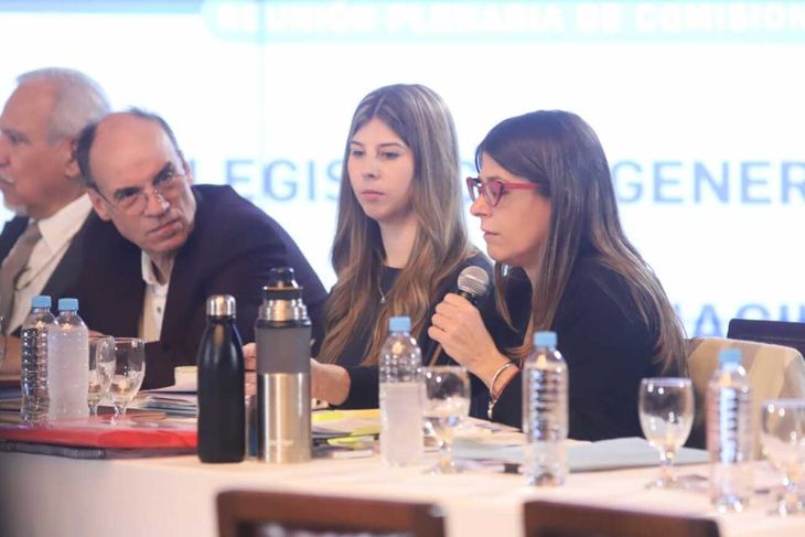Guadalupe Tagliaferri y Pablo Blanco, dos de los miembros más reticentes al proyecto de la oposición considerada dialoguista.