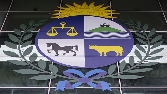 El gobierno anticipó una rápida y relativamente sencilla reglamentación de la ley de eutanasia. El gobierno anticipó una rápida y relativamente sencilla reglamentación de la ley de eutanasia.