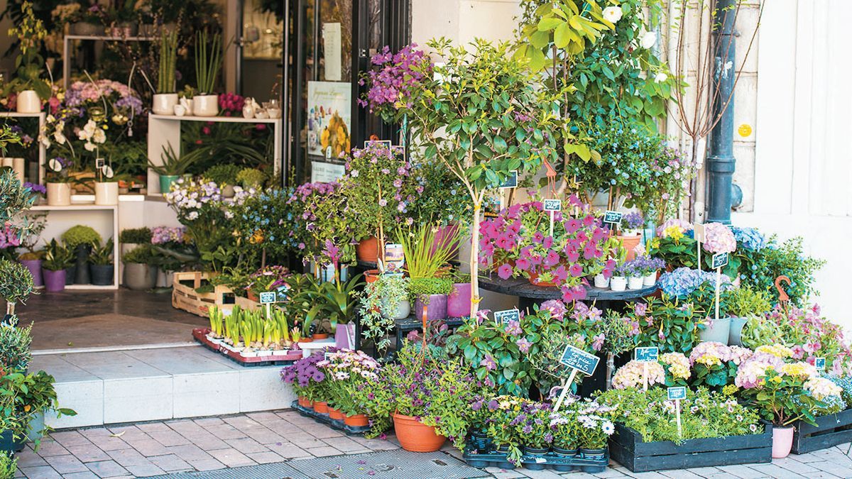 How much is to give a bouquet of flowers this February 14, 2025