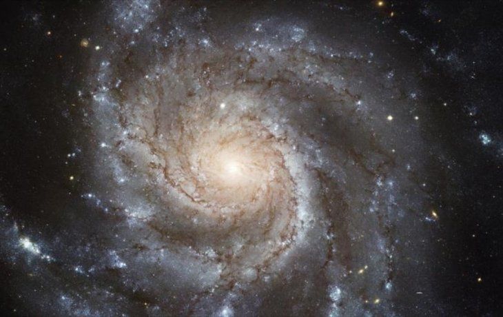 Video: cómo se formó la Vía Láctea y cuántas galaxias se devoró