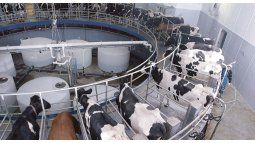 The market expects a better 2024 for the dairy industry. The market expects a better 2024 for the dairy industry.