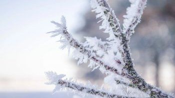 Ola polar en Argentina con alerta por temperaturas bajo cero.