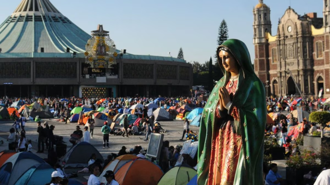 Profeco alegra a miles de peregrinos con buenas noticias por el Día de la Virgen de Guadalupe el 12 de diciembre.