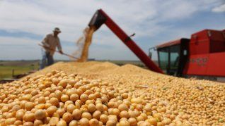 La Pampa batió su récord de exportación de manufacturas