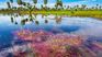 This magical place located in the north of the country is ideal for those looking for an ecological tourism experience. This magical place located in the north of the country is ideal for those looking for an ecological tourism experience.