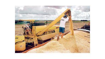 China y otros países importadores de soja dependerán de las crecientes exportaciones sudamericanas de soja en el período mayo/agosto de 2013.