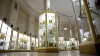 En el Museo Foresen se pueden ver casi&nbsp;2.500 piezas anatómicas en perfecto estado de conservación, anteriores a 1940, guardadas con fines educativos.