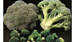 These are the superfoods that will help you improve your memory. These are the superfoods that will help you improve your memory.