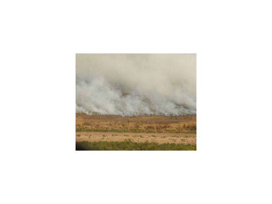 Los incendios provocados por la quema de pastizales