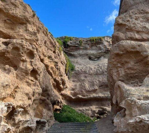 Buena parte de su diseño original incluyó apariciones estelares en producciones nacionales. Buena parte de su diseño original incluyó apariciones estelares en producciones nacionales.