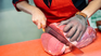Listado completo de los cortes de carnes más barato, según Profeco.