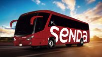 quien es el verdadero dueno de grupo senda, un imperio mexicano del transporte con rutas a estados unidos