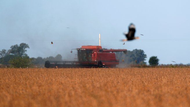 Nuevo impulso de las exportaciones del agro.