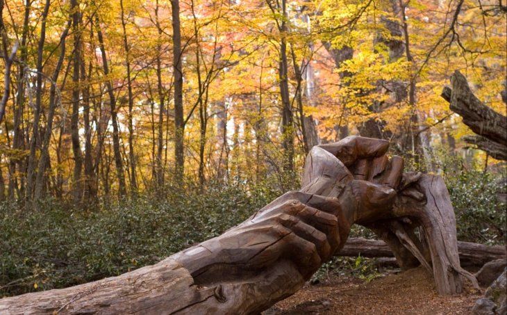 Las esculturas de este lugar logran atrapar a sus visitantes debido a la historia que arrastran.