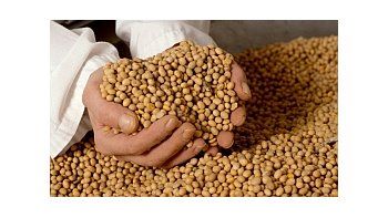 Cotización de los granos en el mercado internacional