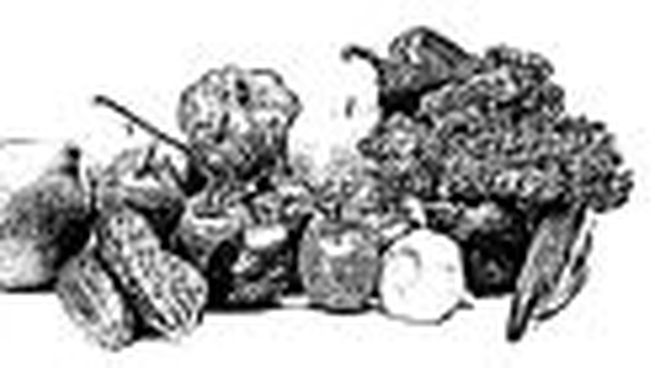 alim-varios 3_opt.jpeg