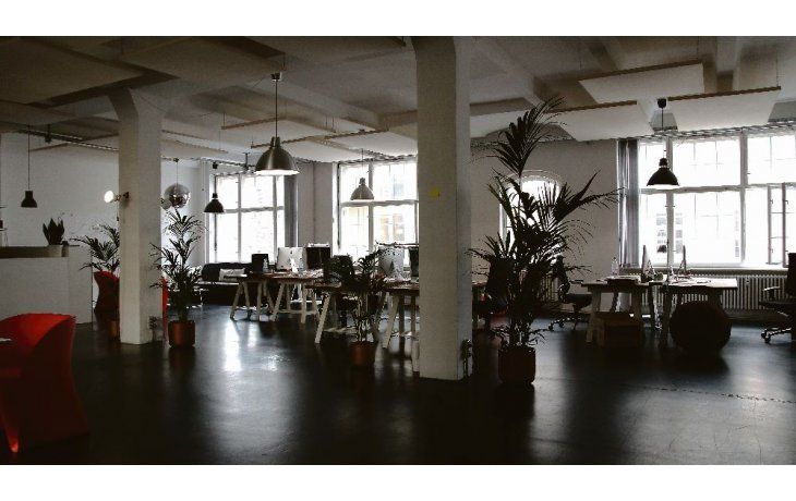 ámbito.com | Cómo cambiar la empresa a verde sin gastar dinero