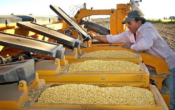 ámbito.com | Soja campo productores.jpg