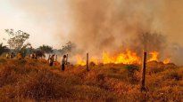 Siguen los incendios forestales en Santa Cruz de la Sierra, en Bolivia.