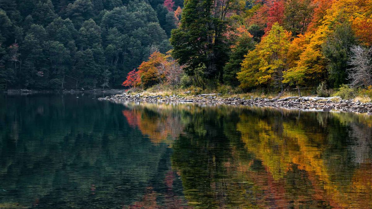 The unmissable adventure in the south of the country: the perfect journey to enjoy Argentine tourism