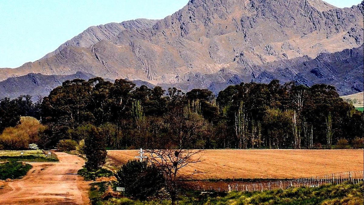 Una escapada para disfrutar la gastronomía de Coronel Suárez y Pigué