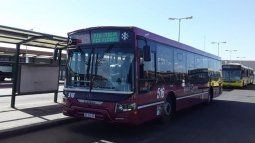 inhabilitan a conducir a un hombre que golpeo a un chofer de colectivo 