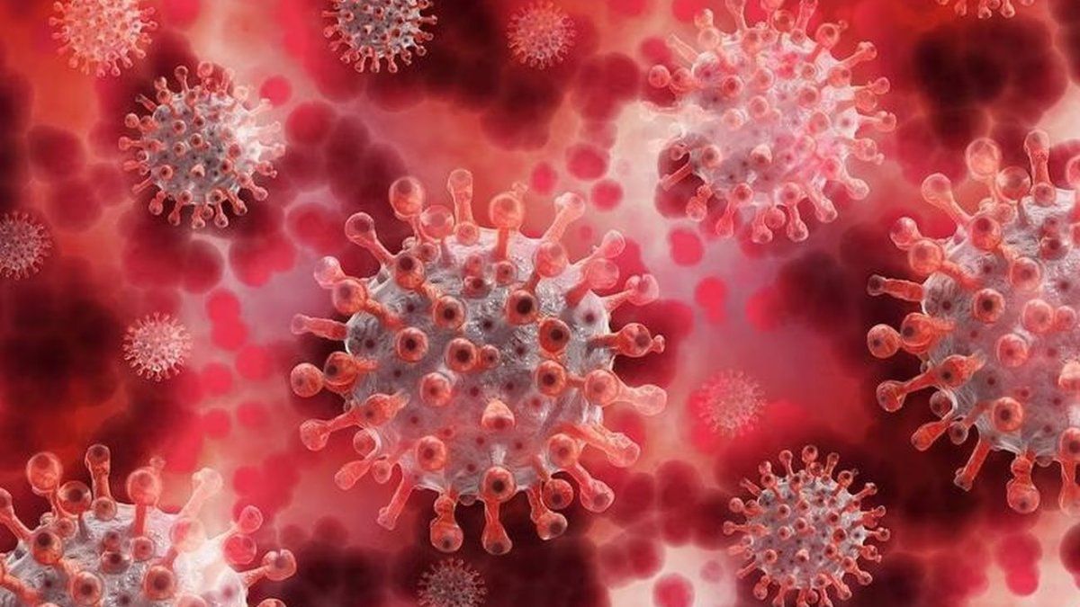 The US prepares to reveal key documents on the origin of COVID-19