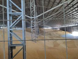 evasion en el campo: la afip decomiso 8.100 toneladas ilegales de maiz y 502 de soja