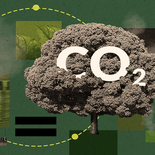 Las empresas argentinas comienzan a capitalizar la descarbonización, en un mercado cada vez más exigente en materia de sostenibilidad. Las empresas argentinas comienzan a capitalizar la descarbonización, en un mercado cada vez más exigente en materia de sostenibilidad.