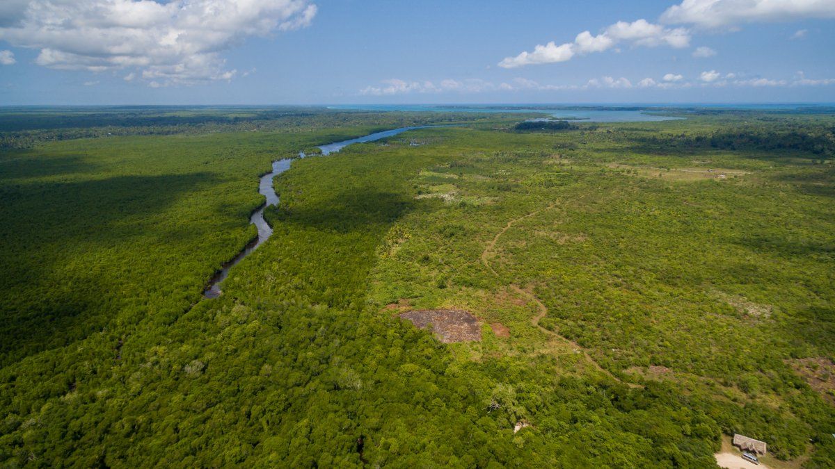Negotiations between Mercosur and the EU are complicated by a measure on deforestation