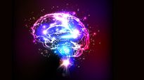 harvard recomienda esta vitamina para el cerebro