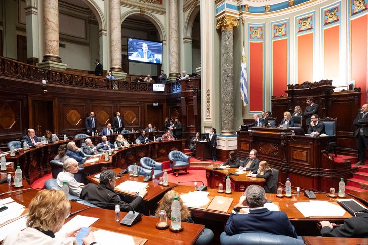 El Senado comenzó a tratar la ley de Competitividad.
