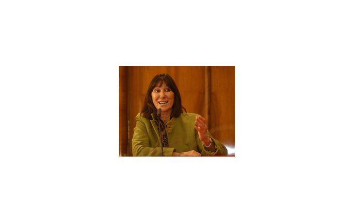 La ministra hizo este llamamiento durante un acto en que puso en funcionamiento el Consejo de Seguridad Eléctrica.