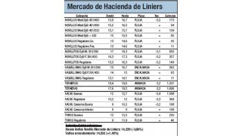 Mercado de Liniers: novillo cayó 3,65%