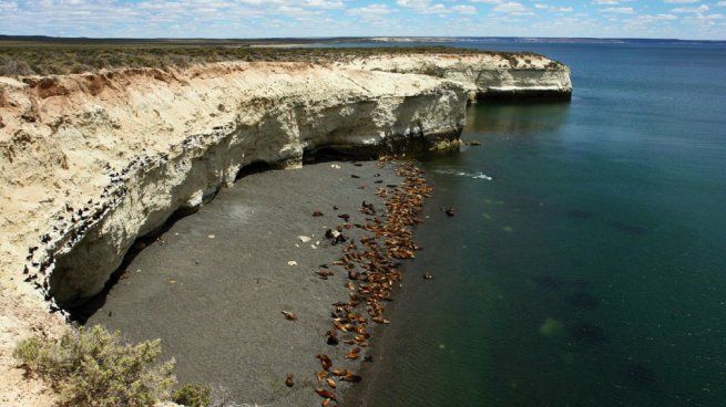Cerro Avanzado, en la provincia de Chubut, fue escenario de un peculiar descubrimiento.