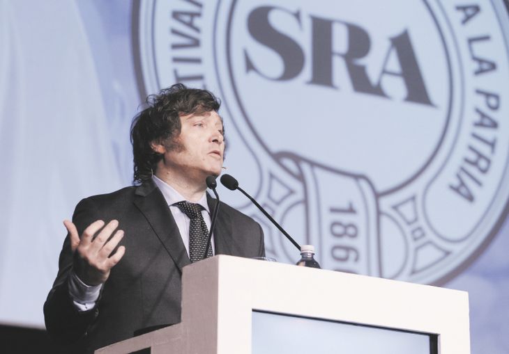 P10 - Milei (NA)_opt.jpeg