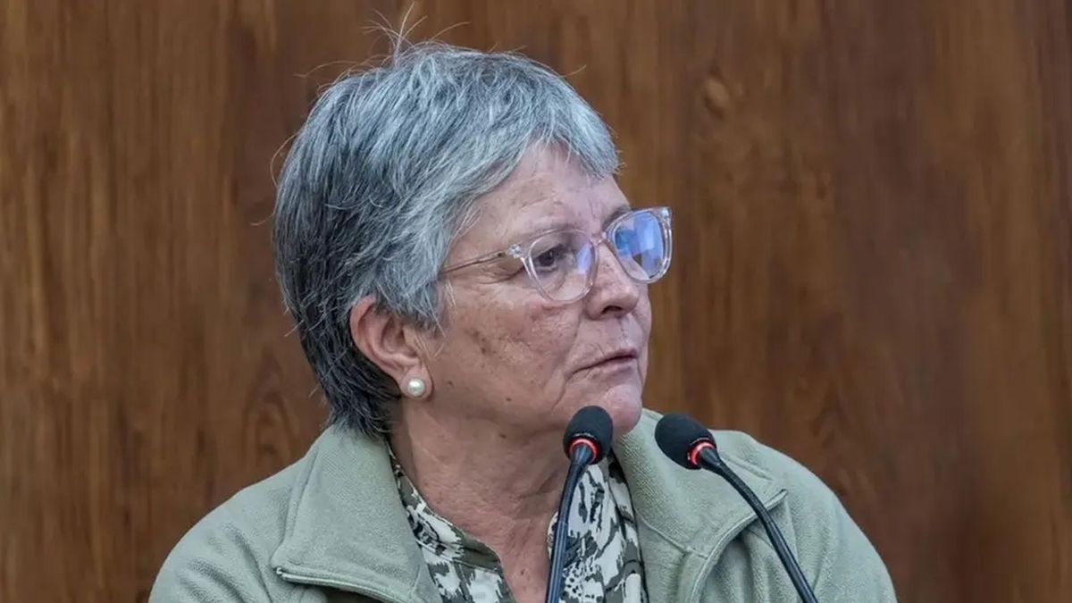 Cuadernos: la expareja de Oscar Centeno declaró y quedó envuelta entre contradicciones, olvidos e intimidaciones