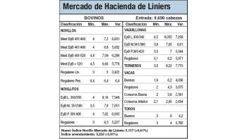 Buena calidad impulsó subas