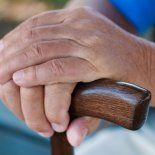 La herramienta digital permite revisar el recibo de haberes y conocer con precisión los montos acreditados cada mes. La herramienta digital permite revisar el recibo de haberes y conocer con precisión los montos acreditados cada mes.