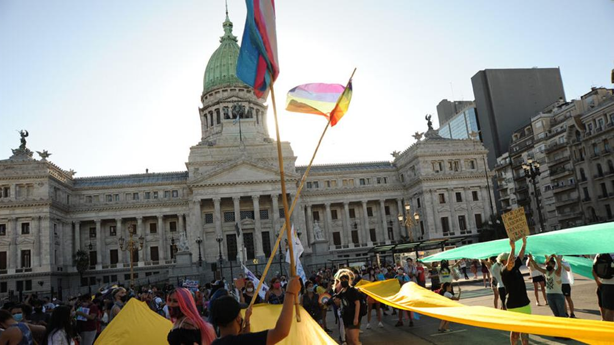 What are and how do the gender quotas that the Government intends to eliminate work?