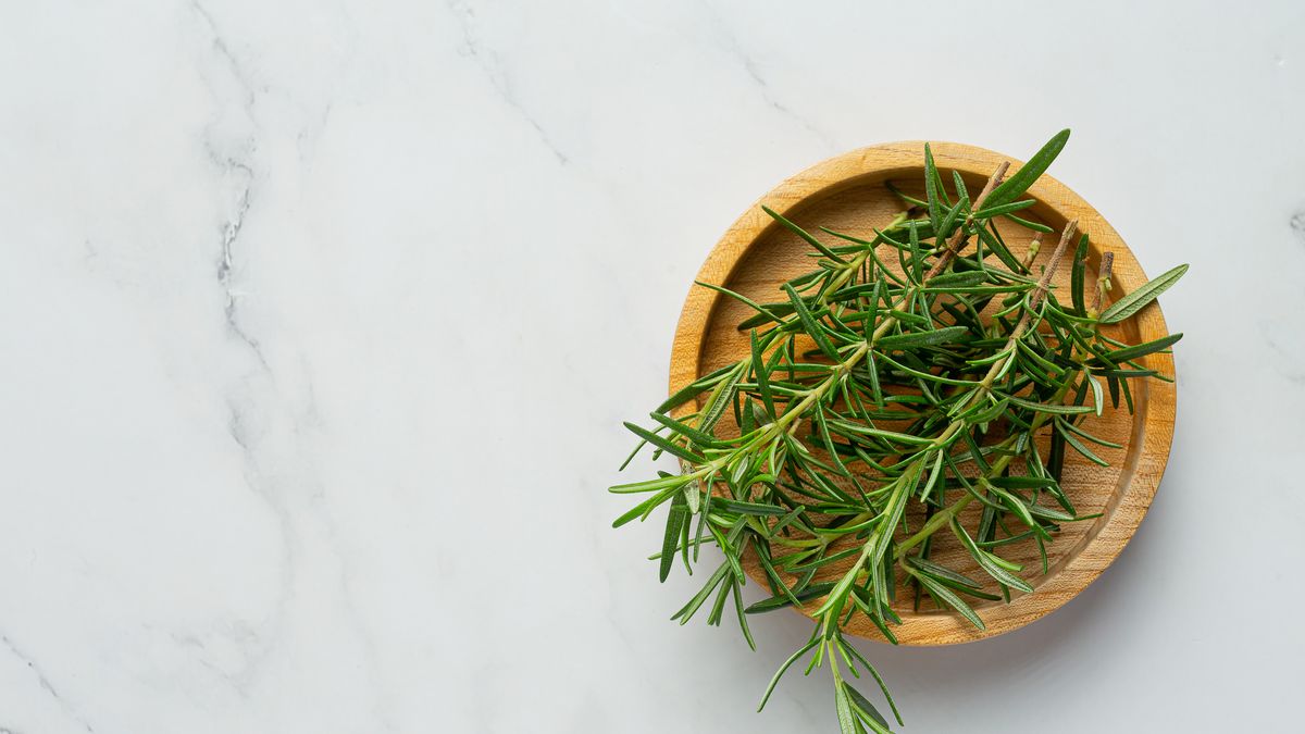 Brain: why smelling rosemary helps improve our memory