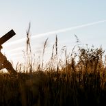 Cuál es el plato que se puede comer en Semana Santa Cuál es el plato que se puede comer en Semana Santa