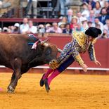 Morante de la Puebla fue embestido por el cuarto animal de la tarde en la Plaza de Toros de la Maestranza. Morante de la Puebla fue embestido por el cuarto animal de la tarde en la Plaza de Toros de la Maestranza.