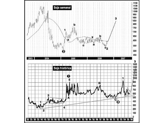 Perspectivas favorables para el precio de la soja
